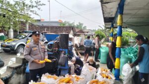 Dukung Ketahanan Pangan, Anggota Polsek Kepohbaru Monitoring Hasil Panen Jagung di Desa Pejok